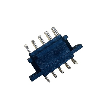 10-pin plug